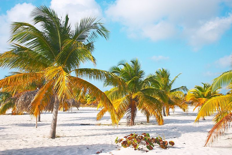 Caribe